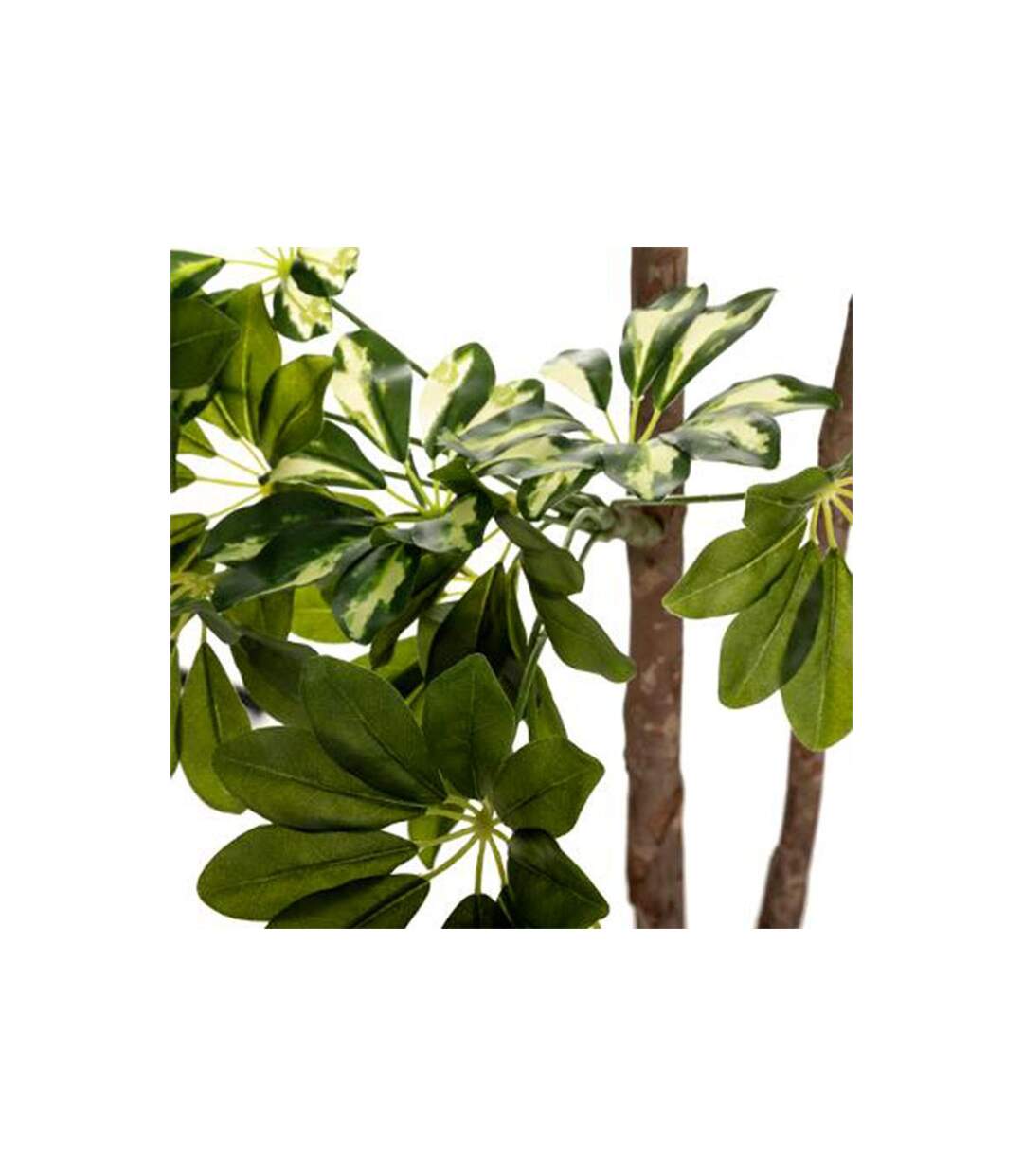 Plante Artificielle Schefflera 135cm Vert & Noir-2