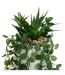 Plante Artificielle en Pot Compo 33cm Blanc & Vert-2