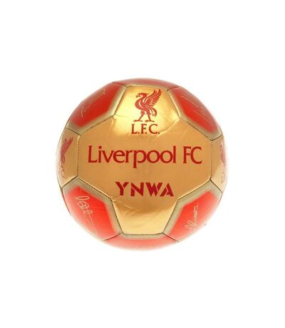 Liverpool FC - Ballon de foot (Rouge / Doré) (Taille 5) - UTBS3682