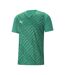 Maillot Teamultimate Homme Vert Puma-1