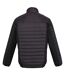 Veste Tourer Homme Noir Regatta-3