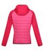 Veste hybride andreson femme flamant rose / rose fluo Regatta