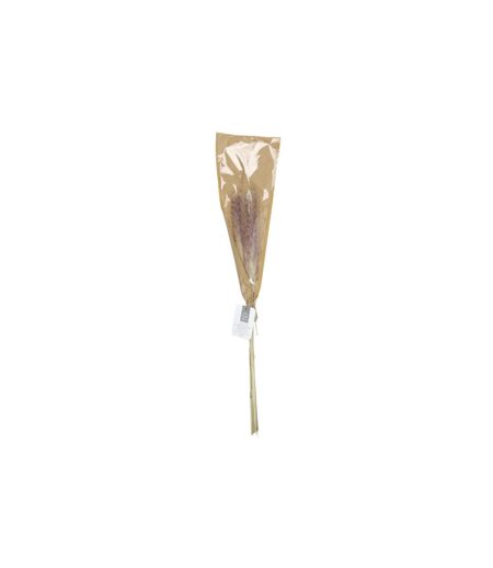 Lot de 6 Herbes de Pampa Séchées 60cm Beige