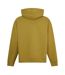 Sweat À Capuche Skate Homme Vert Kaki Foncé Levis-3