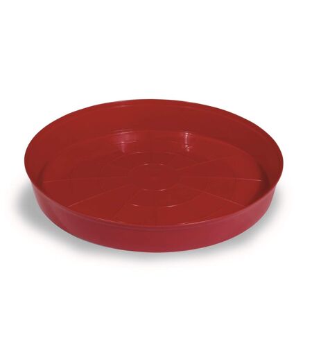 Gaun Chick Tray Feeder (Red) (H5 x D40cm) - UTTL1482