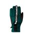 Gants de ski noir/vert homme dc shoes salute glov - s-1