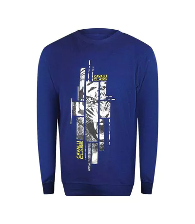 Unisex Adult Splintered Tiger Sweatshirt Iris Blue Cavalli Class