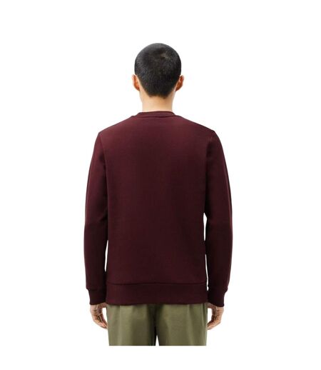Sweat Homme Rouge Bordeaux Lacoste