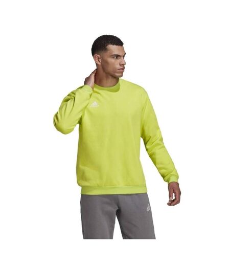 Sweat Entrada Homme Vert Adidas