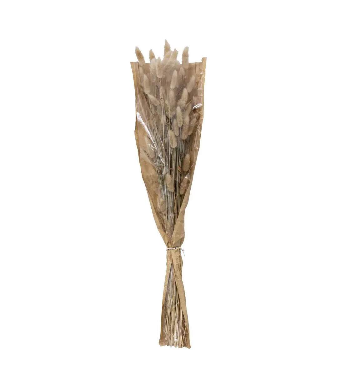Bouquet de Fleurs Queue de Lapin 58cm Ivoire-1