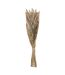 Bouquet de Fleurs Queue de Lapin 58cm Ivoire-1