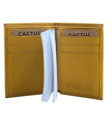 Porte-cartes Cactus - K953038