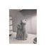Statuette Déco Couple de Chat Sparky 21cm Argent-5