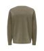 Mens Crew Neck Relaxed Fit Sweatshirt Taupe Only-2