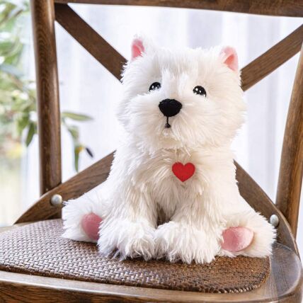 Peluche