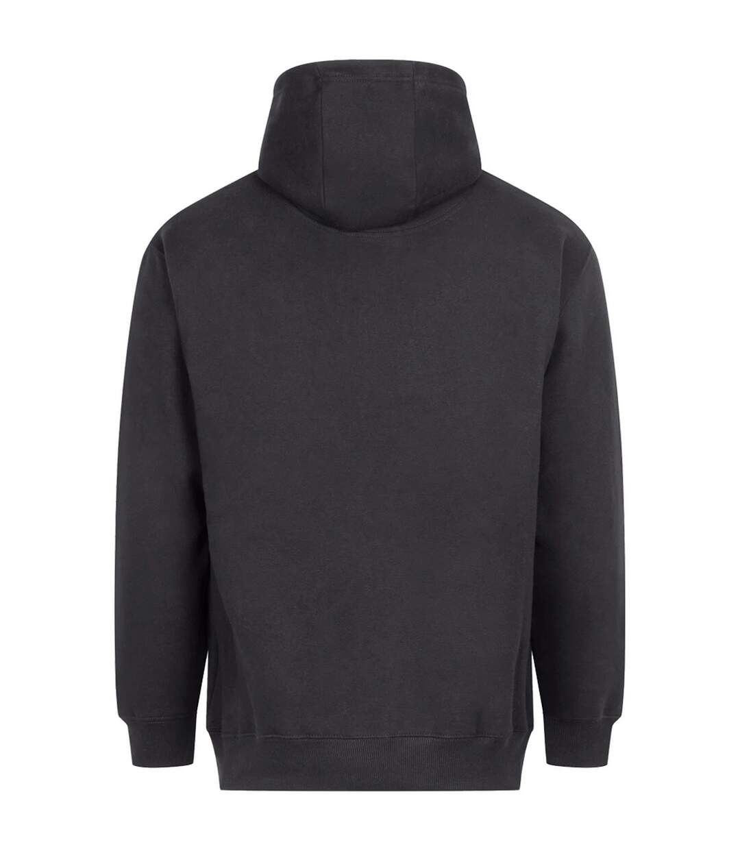 Sweat À Capuche Vision Adulte Charbon Uni Awdis-3