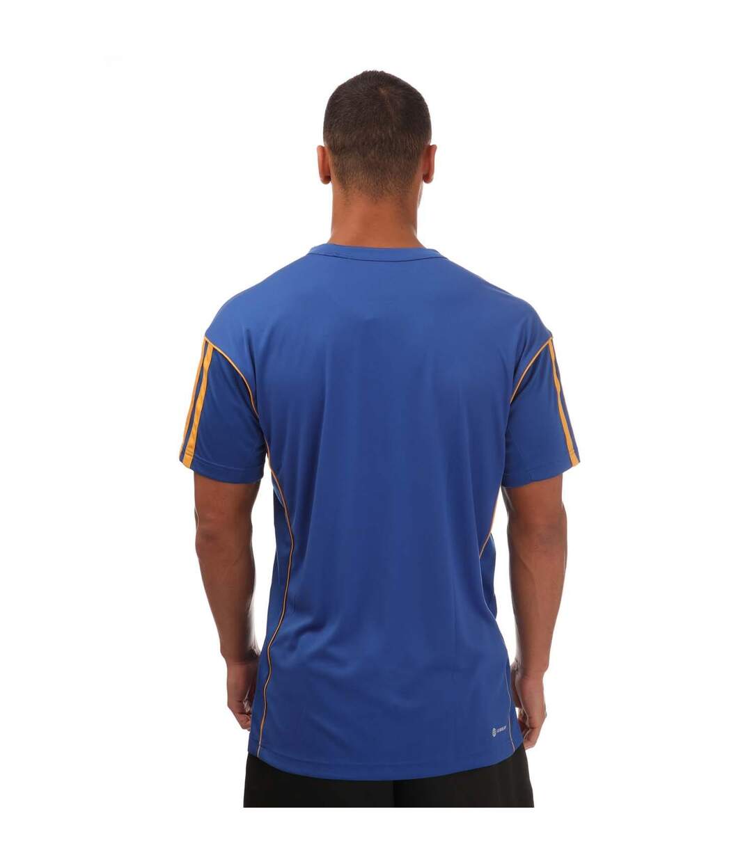T-shirt homme bleu roi Adidas-2