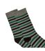 Pack of 3  Mens stripe socks  green Maine-3