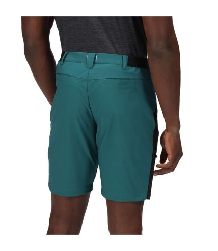 Regatta Mens Highton Pro Shorts (Pacific Green/Black) - UTRG7714