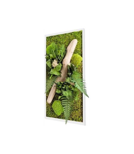 Tableau végétal stabilisé nature Rectangle 27 x 58 cm