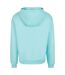 Sweat À Capuche Homme Béryl Bleu Urban Classics-2