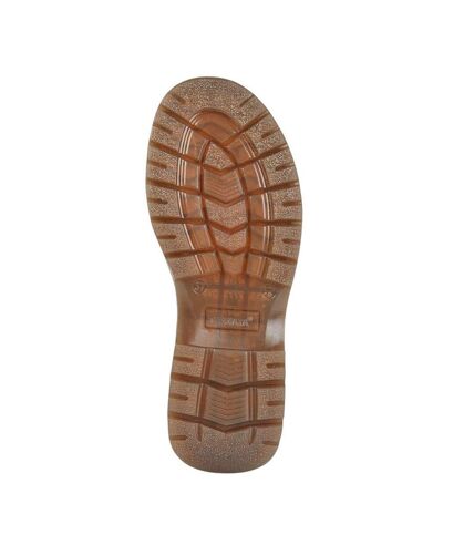 Cipriata Womens/Ladies Jessica Ankle Boots (Black) - UTDF2235