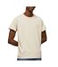 T-shirt ecru homme pepe jeans jacko pm508664-1