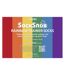 3 Pack Mens Ladies Rainbow Trainer Cotton Socks Bright Colourful Striped Socks-2