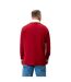 Haut De Rugby Homme Rouge Écarlate British & Irish Lions-4