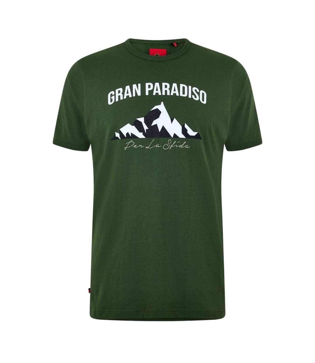 Mens Arandano Lettering Regular T-shirt Green Luke-1