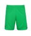 ASSE Short Domicile Homme Le Coq Sportif 2021/2022 - S