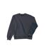 Sweat Hero Pro Adulte Gris Foncé Uni B&C-2