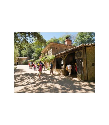 Billets Puy du Fou 2025 - 2 jours pour 2 adultes et 2 enfants - SMARTBOX - Coffret Cadeau Multi-thèmes