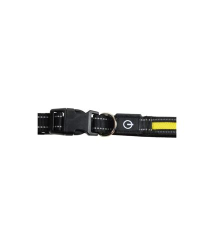 Collier Lumineux Pour Chien LED 65cm Jaune