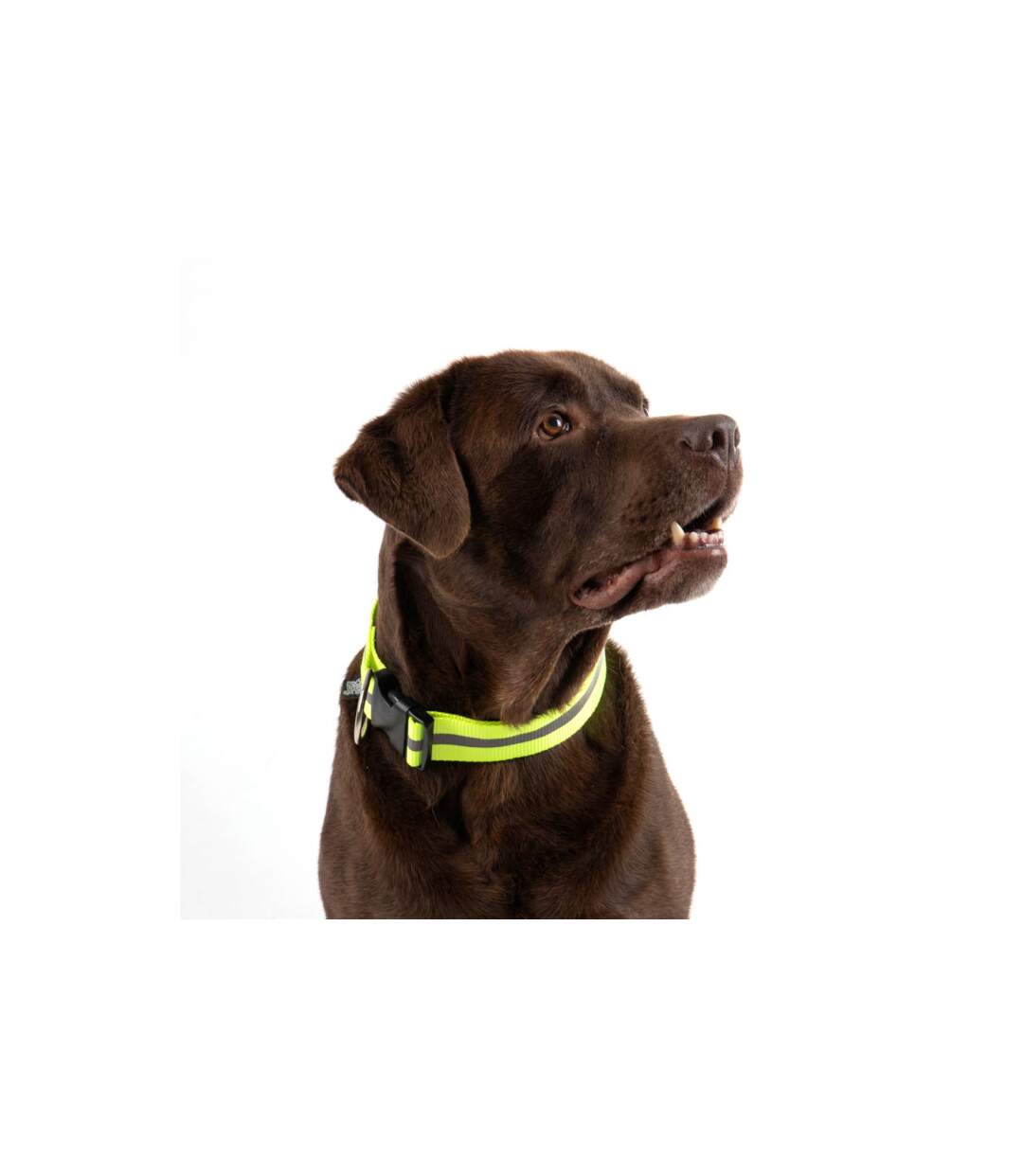 Collier Pour Chien Bande Réfléchissante 65cm Jaune-5