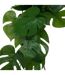 Tige Plante Artificielle Monstera Gala 85cm Vert-2