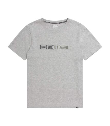 Animal - T-shirt JACOB - Homme (Gris) - UTMW1795