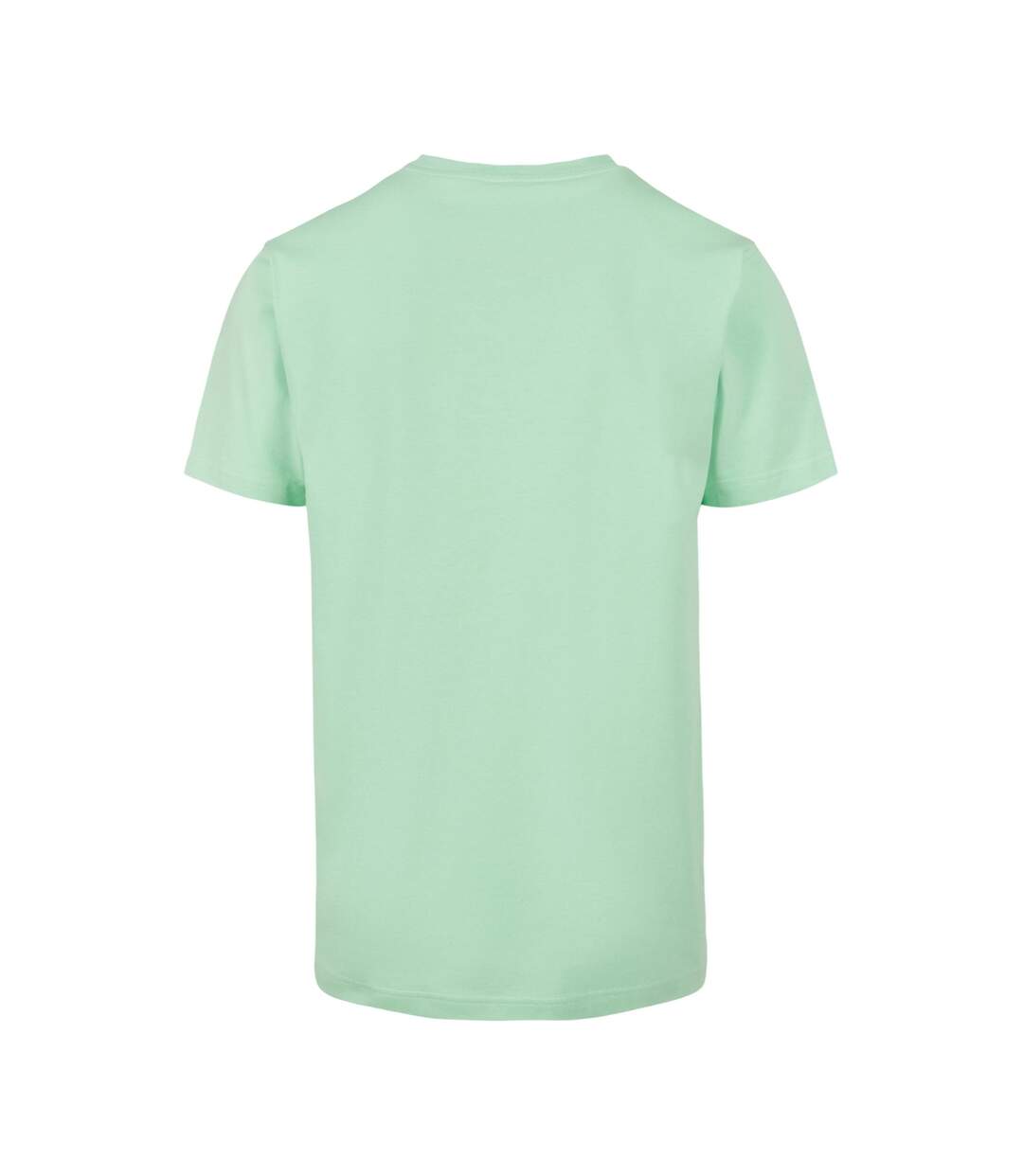 Neo Mint Mister Tee-2
