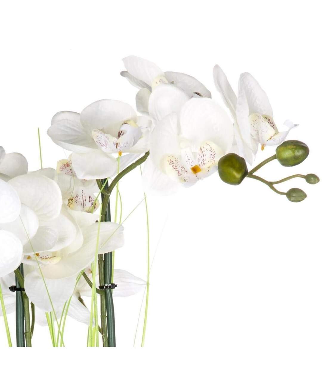 Composition Florale & Vase Orchidée 53cm Argent-2