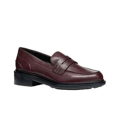 Mocassins Walk Pleasure Femme Bordeaux Geox