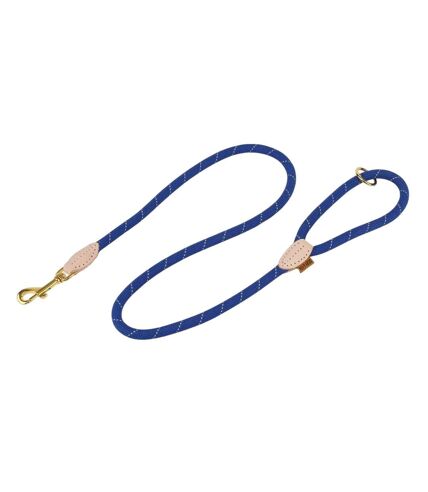 Digby & Fox Reflective Leather Dog Lead (Royal Blue) (One Size) - UTER1758