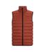 Doudoune Sans Manches Marizion Homme Orange Foncé Regatta-2