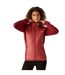 Womens/ladies andreson viii hybrid jacket mineral red/rumba red Regatta