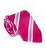 Cravate De Concours Adulte Taille Unique Rose Supreme Products-2