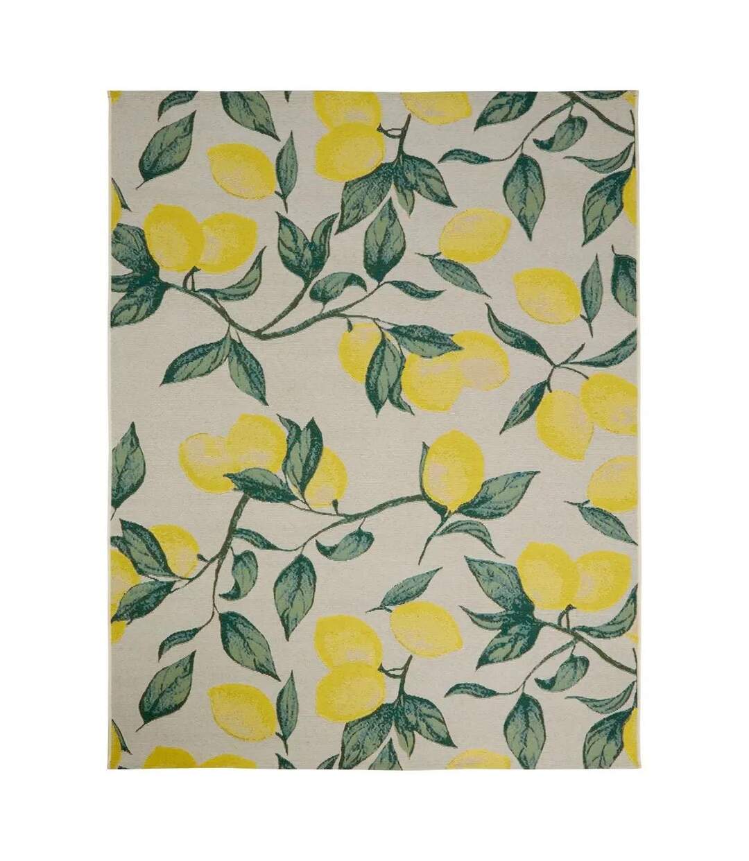 Tapis Intérieur & Extérieur Kepa 200x300cm Jaune-1