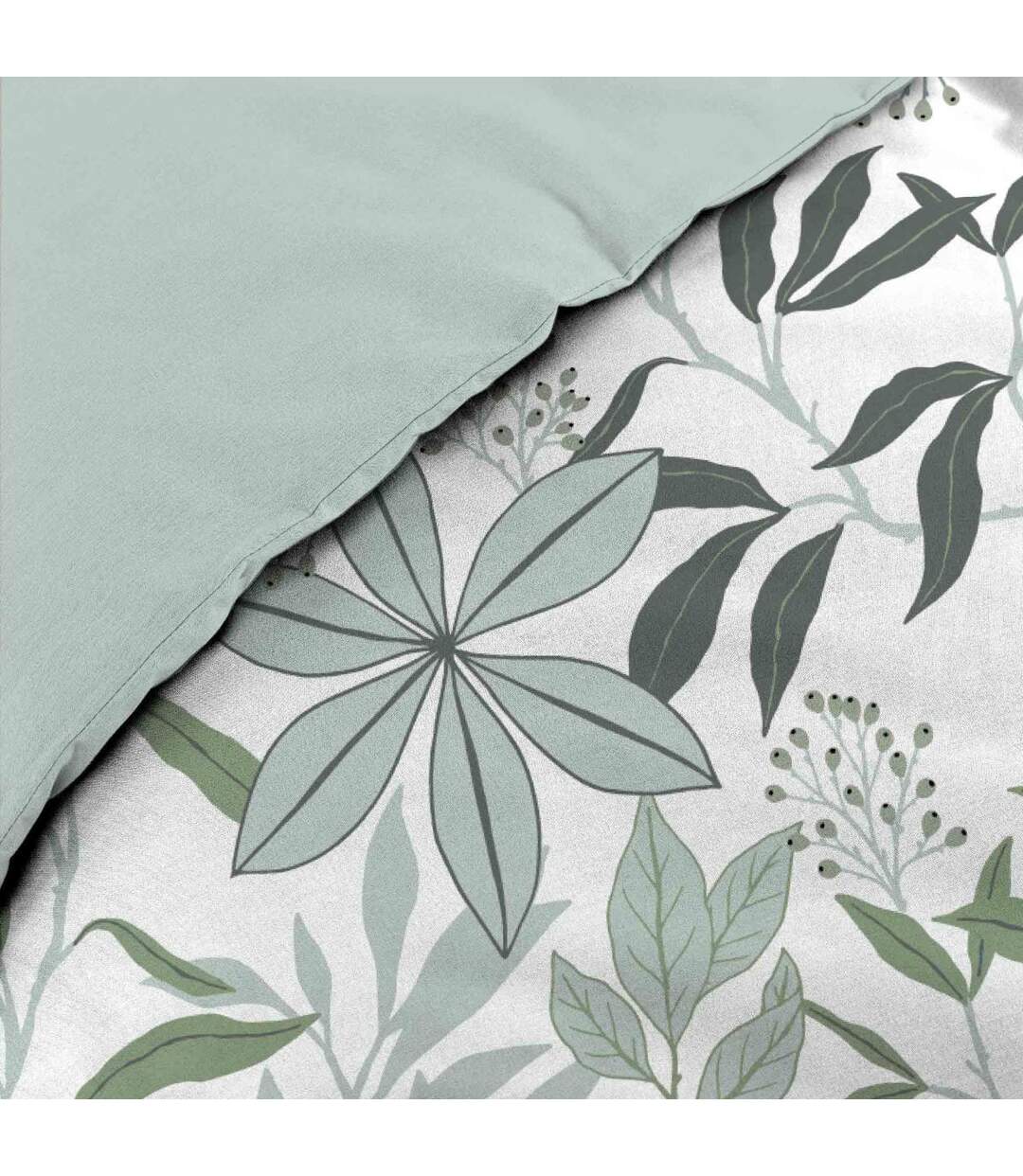 Parure de Lit 3 Pièces Voltine 240x220cm Sauge-4