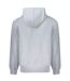 Veste À Capuche Motif/style Logo Jeans Daring Ocean Homme Gris Guess-3
