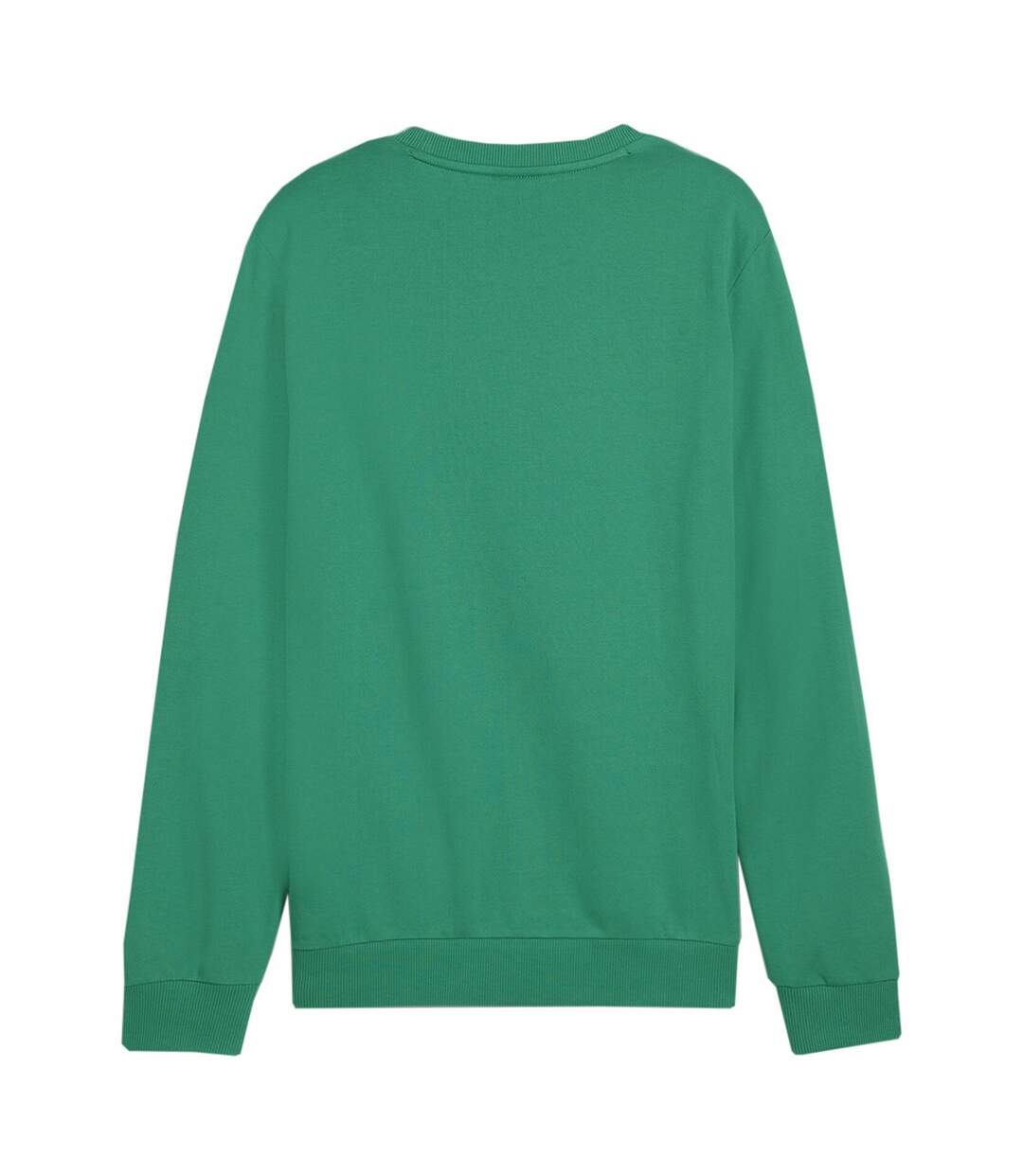 Sweat Team Goal Homme Vert Puma-3