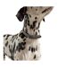 Leather dog collar small navy Joules-2