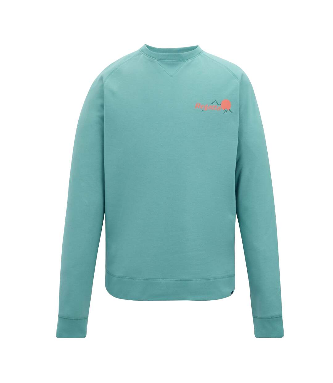 Mens Nithsdale Back Print Sweatshirt Arctic Green Regatta-2